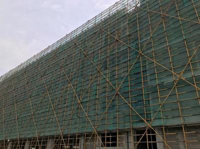 部門聯動發力擴建校園，為“新都市”項目保駕護航——聚焦內外墻粉刷工程
